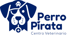 logo perro pirata